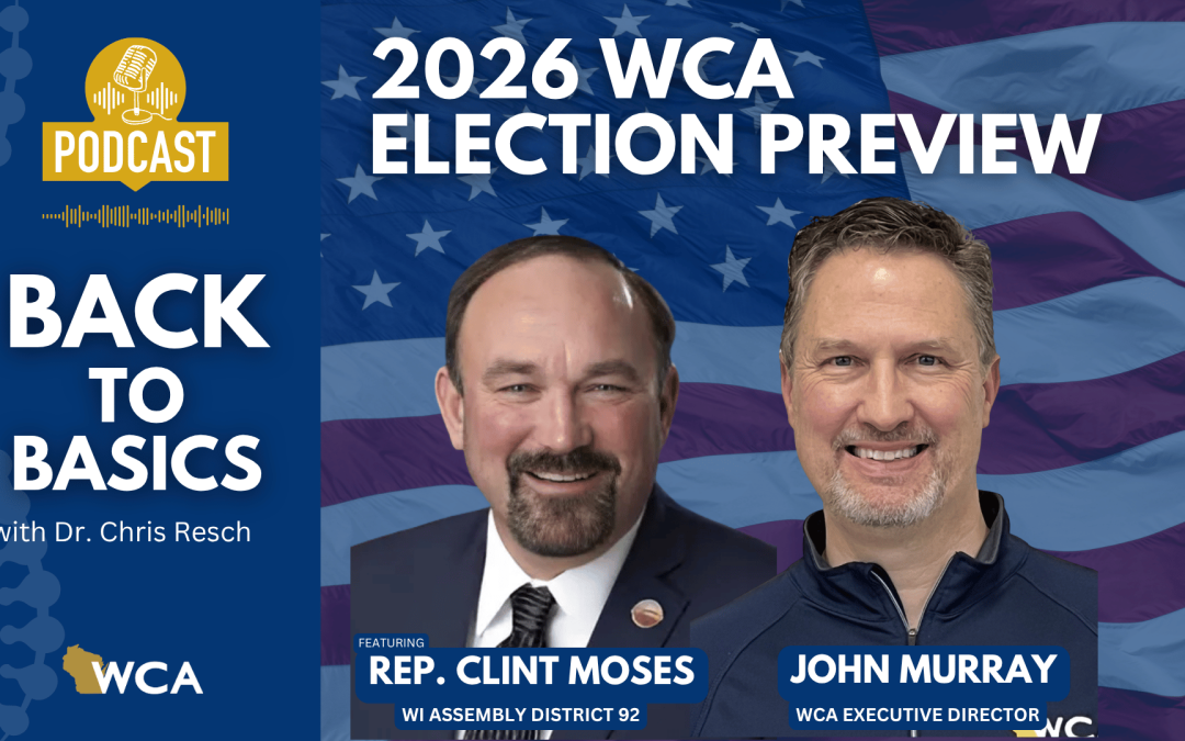 2026 Election Preview